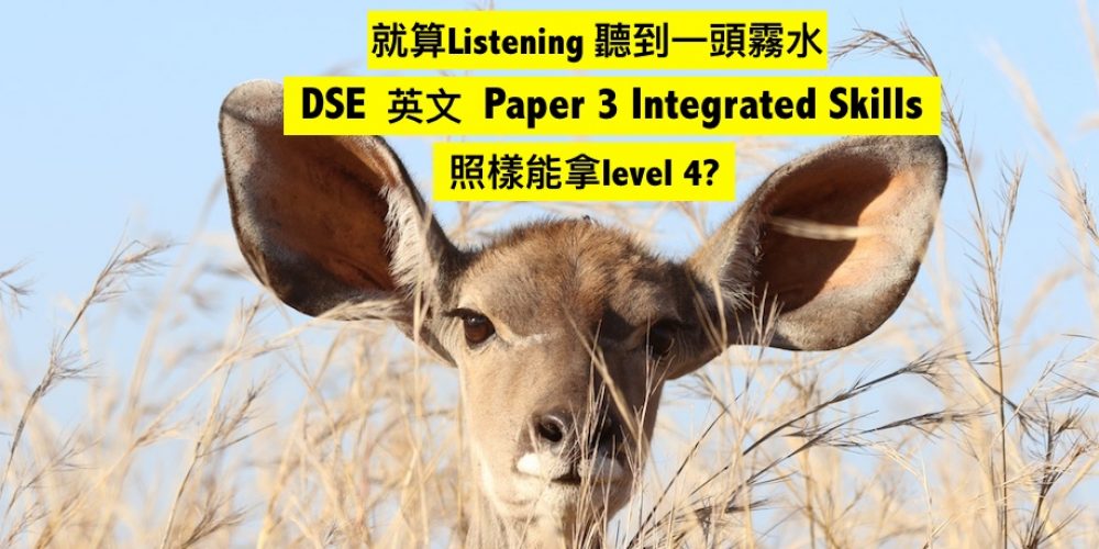 DSE英文 Paper 3聽到一頭霧水， Integrated Skills照樣能拿Level 4?